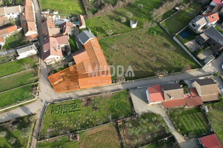 Armazém para Venda em Baçal Foto 2