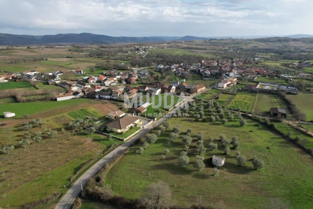 Armazém para Venda em Baçal Foto 14