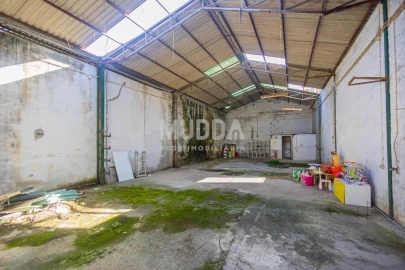 Armazém para Venda em Esgueira