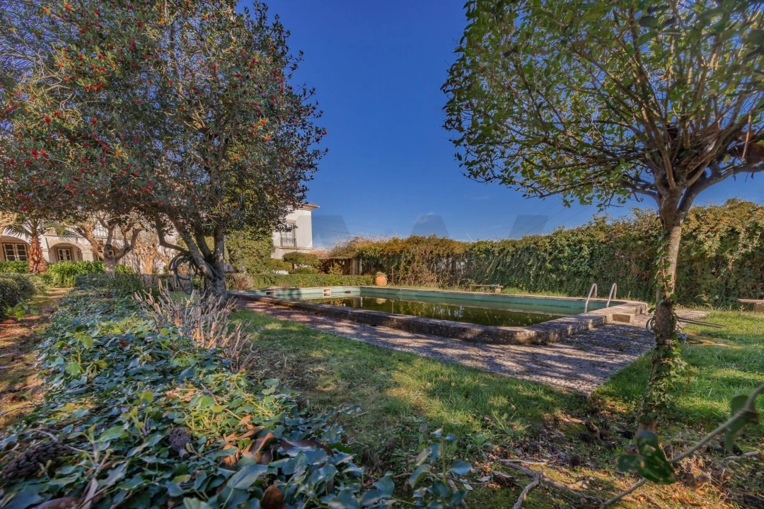 Quinta T6 para Venda em Chão de Couce Foto 7