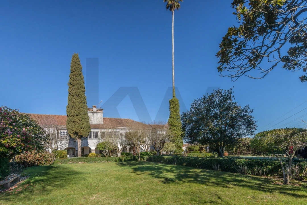 Quinta T6 para Venda em Chão de Couce Foto 6