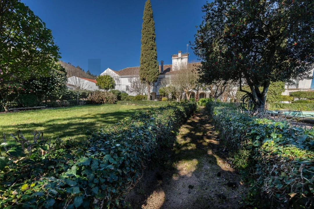 Quinta T6 para Venda em Chão de Couce Foto 8