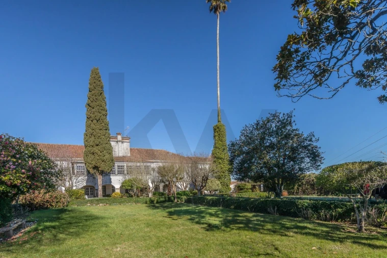 Quinta T6 para Venda em Chão de Couce Foto 6