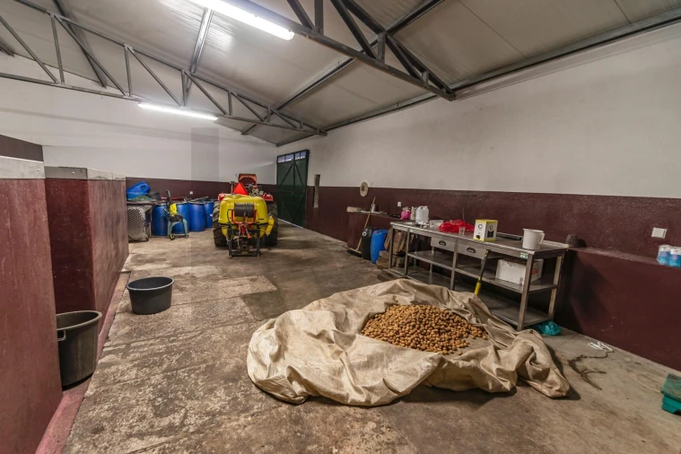 Quinta T6 para Venda em Chão de Couce Foto 40