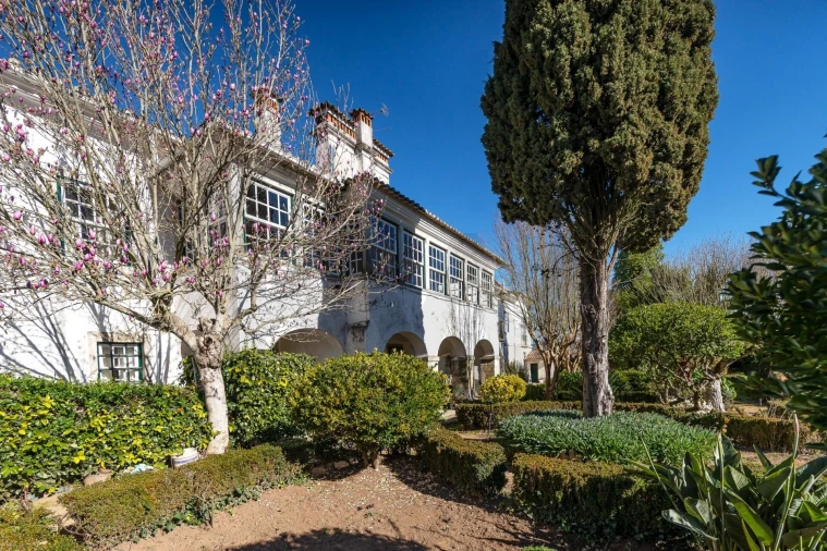 Quinta T6 para Venda em Chão de Couce Foto 3