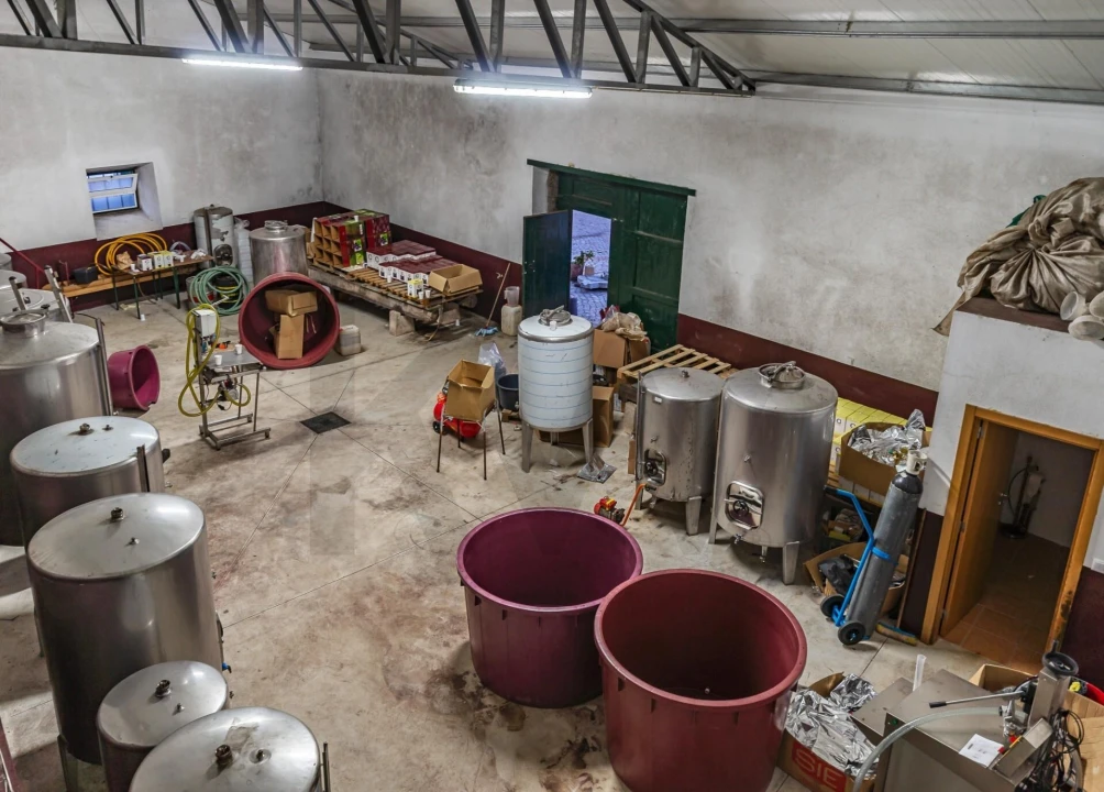 Quinta T6 para Venda em Chão de Couce Foto 38