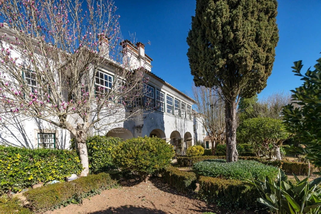 Quinta T6 para Venda em Chão de Couce Foto 3