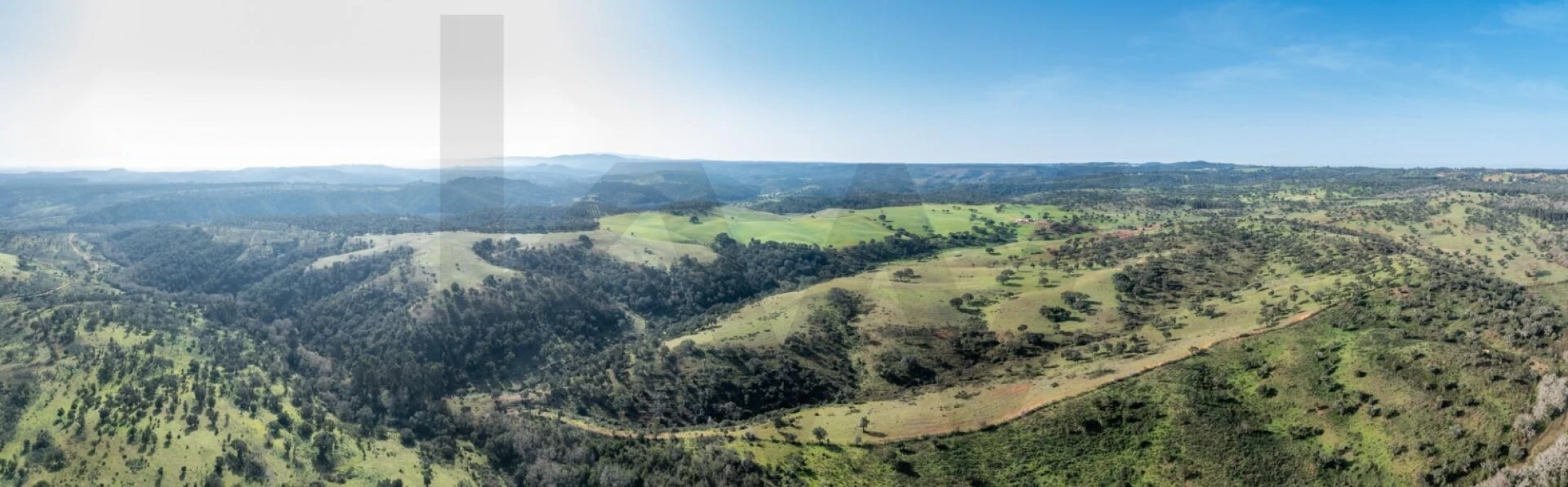Terreno para Venda em São Teotónio Foto 22