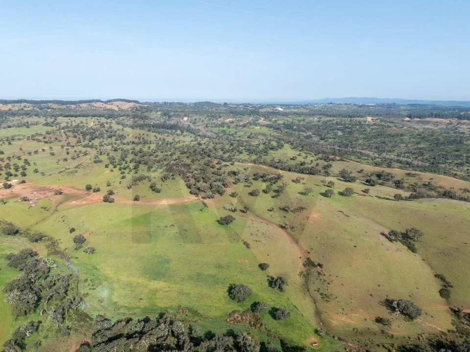 Terreno para Venda em São Teotónio Foto 17