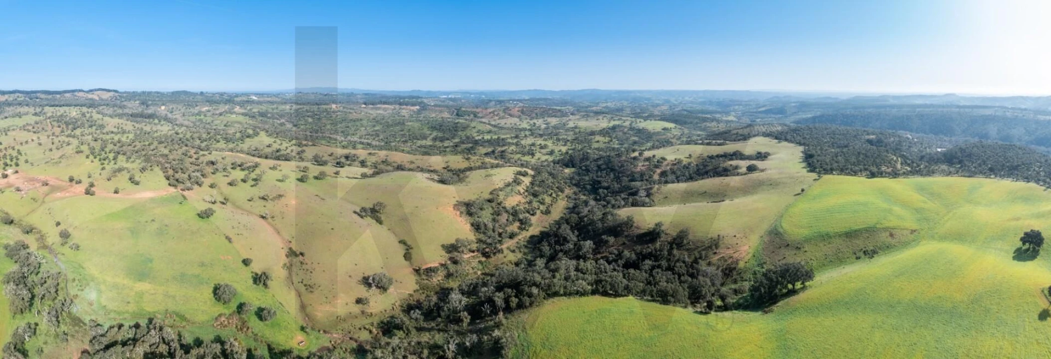 Terreno para Venda em São Teotónio Foto 18