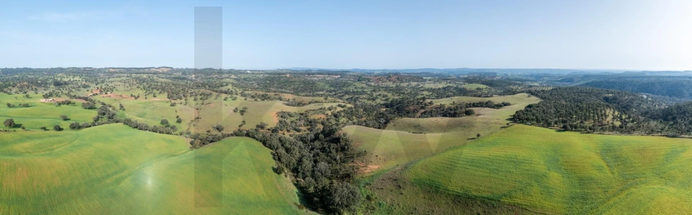 Terreno para Venda em São Teotónio Foto 9