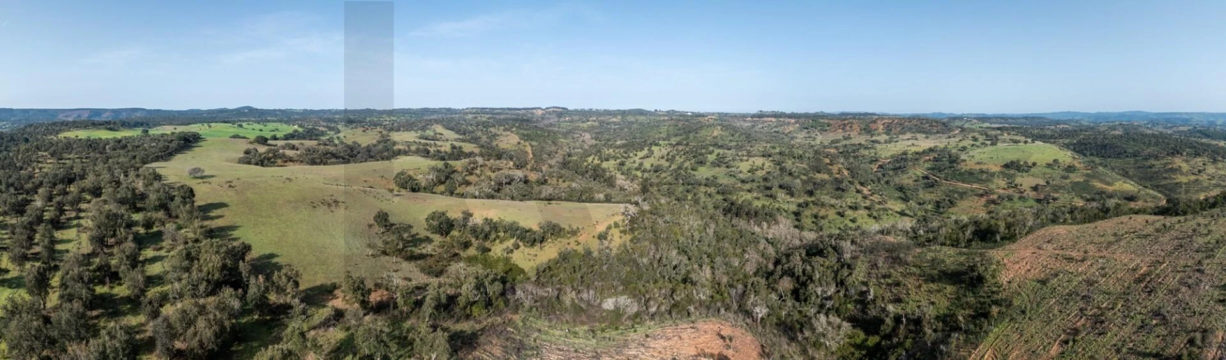 Terreno para Venda em São Teotónio Foto 11