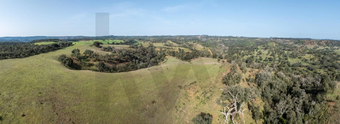 Terreno para Venda em São Teotónio Foto 13
