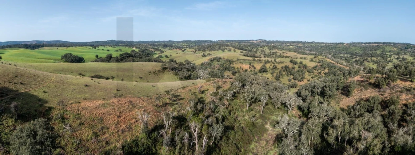 Terreno para Venda em São Teotónio Foto 14