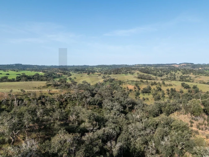 Terreno para Venda em São Teotónio Foto 8