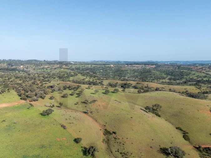Terreno para Venda em São Teotónio Foto 16