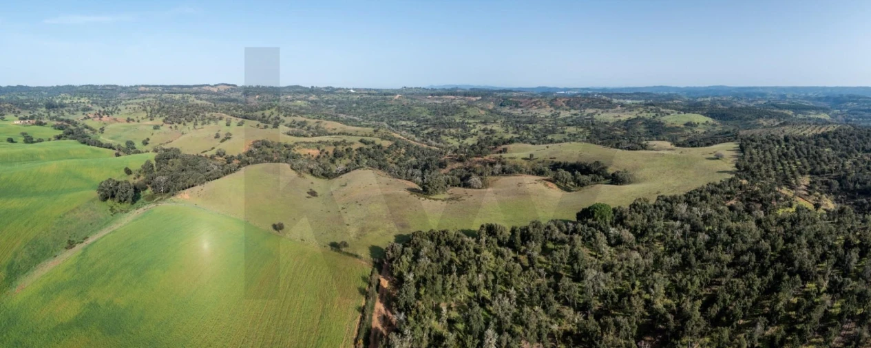 Terreno para Venda em São Teotónio Foto 10