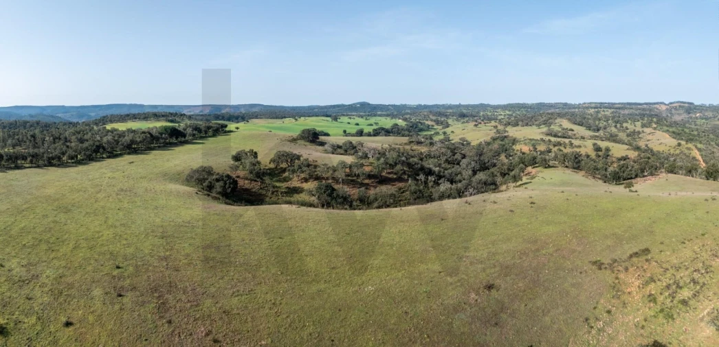 Terreno para Venda em São Teotónio Foto 12