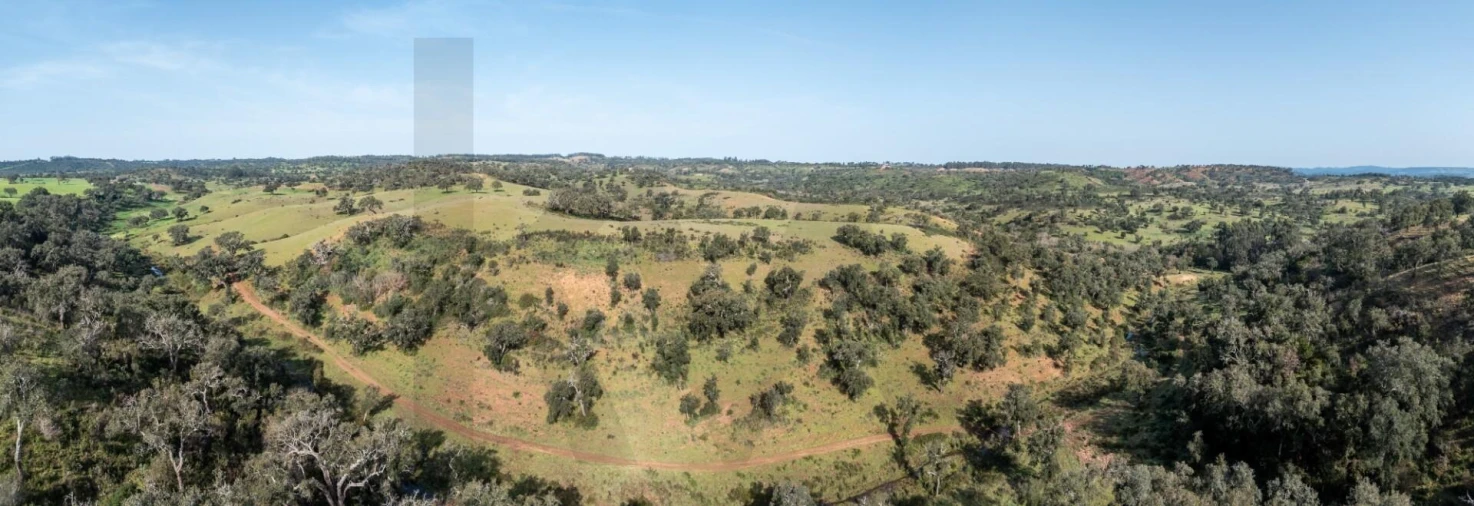 Terreno para Venda em São Teotónio Foto 21