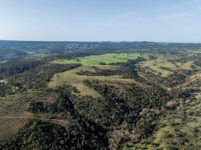 Terreno para Venda em São Teotónio Foto 2