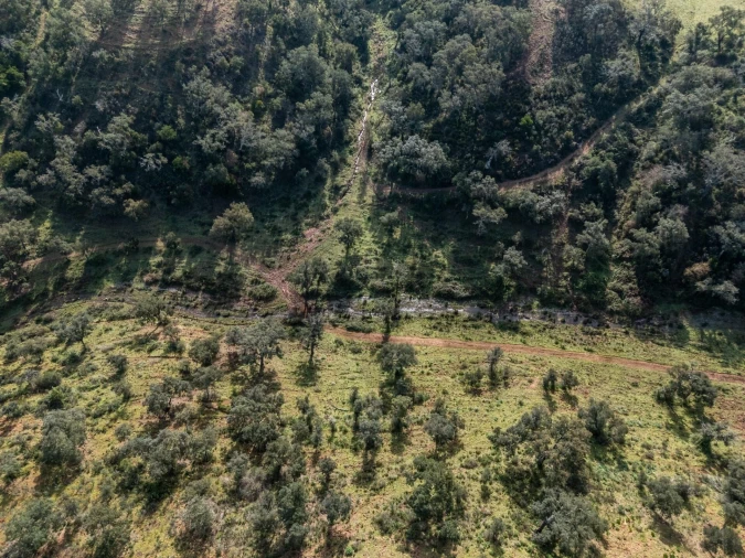 Terreno para Venda em São Teotónio Foto 23