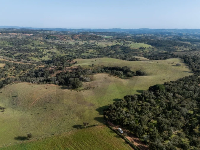 Terreno para Venda em São Teotónio Foto 4