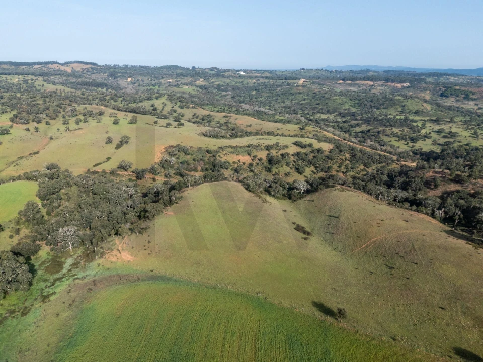 Terreno para Venda em São Teotónio Foto 3