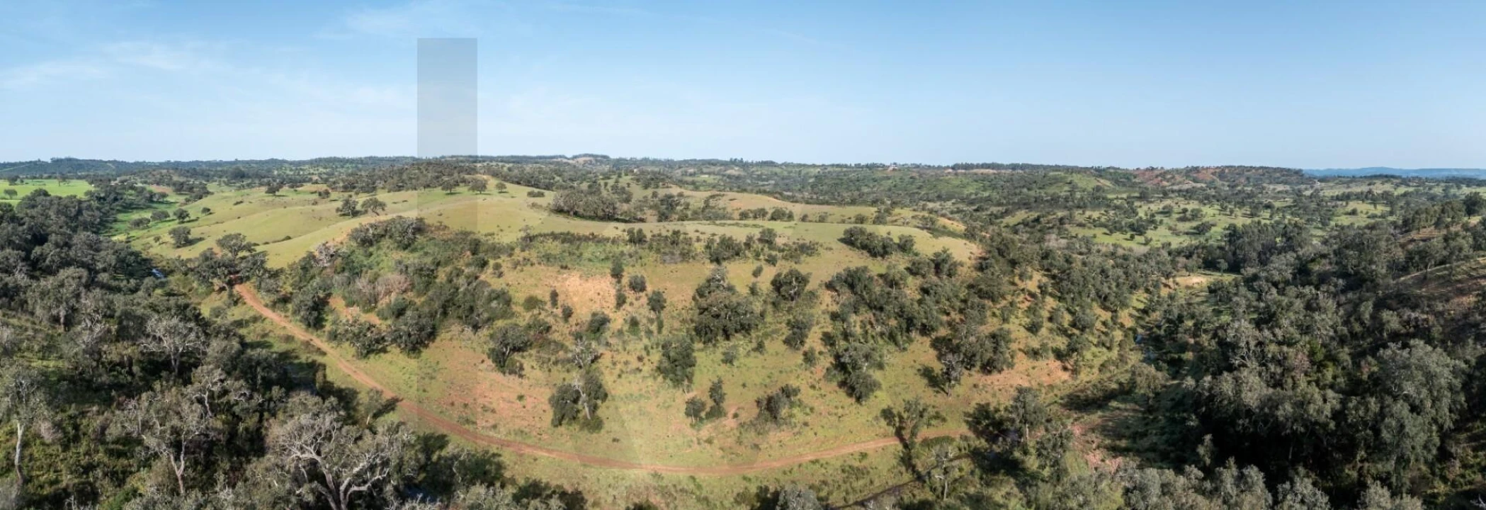 Terreno para Venda em São Teotónio Foto 21