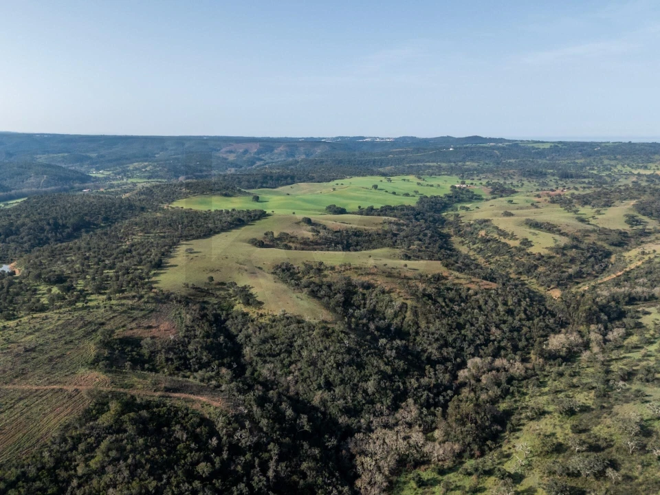 Terreno para Venda em São Teotónio Foto 2