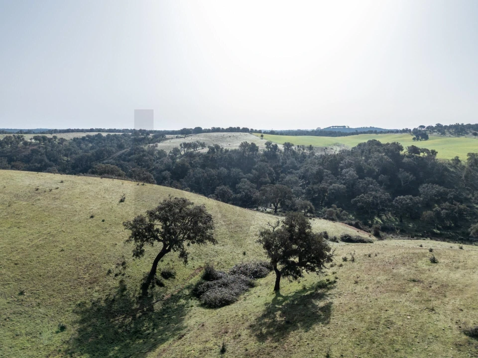 Terreno para Venda em São Teotónio Foto 7