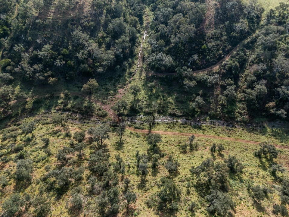 Terreno para Venda em São Teotónio Foto 23