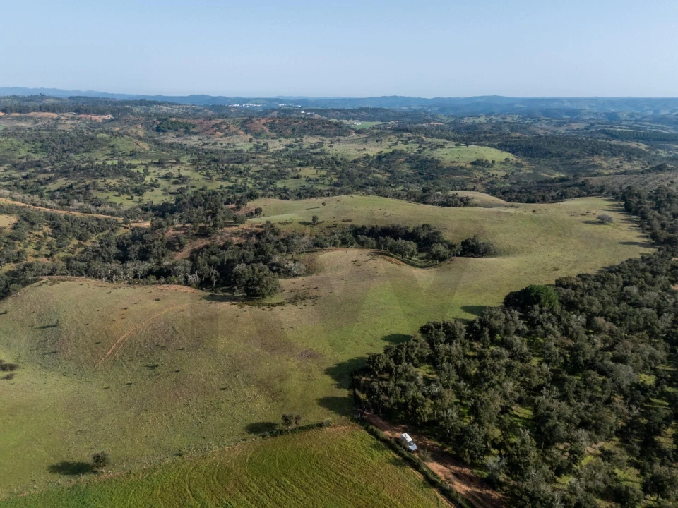 Terreno para Venda em São Teotónio Foto 4