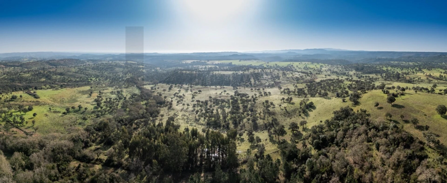 Terreno para Venda em São Teotónio Foto 5
