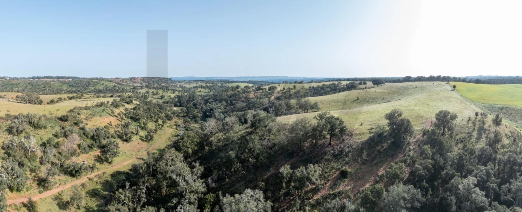 Terreno para Venda em São Teotónio Foto 20
