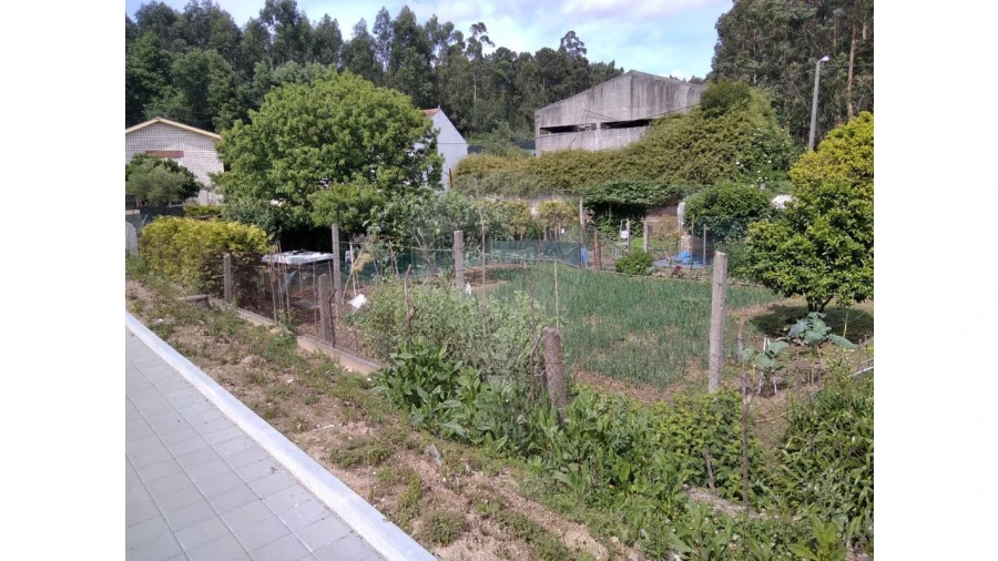 Terreno para Venda em Baguim do Monte (Rio Tinto) Foto 12