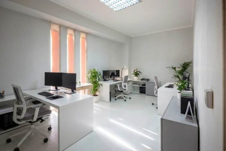 Negócio para Venda em Funchal (Santa Luzia) Foto 15