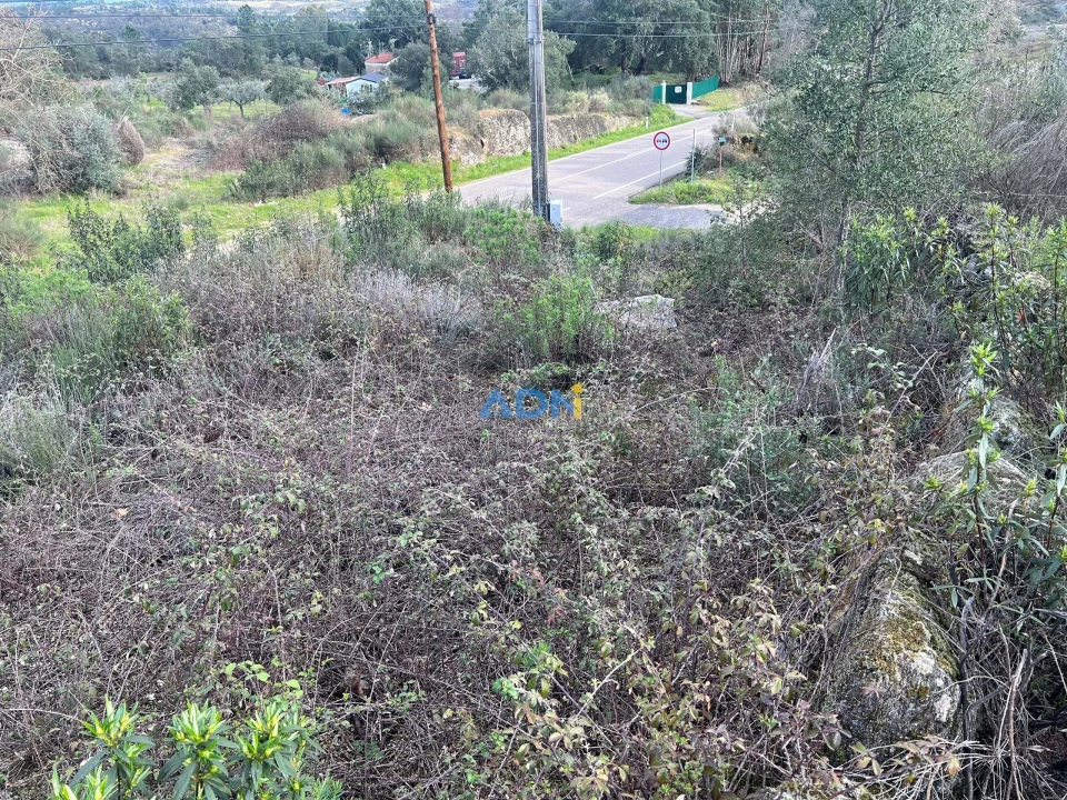 Terreno para Venda em Castelo Branco Foto 10