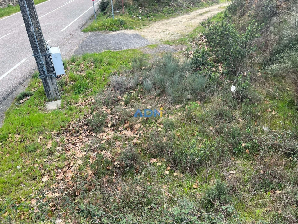 Terreno para Venda em Castelo Branco Foto 12
