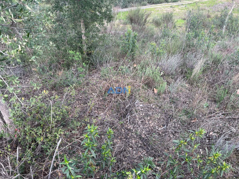Terreno para Venda em Castelo Branco Foto 11