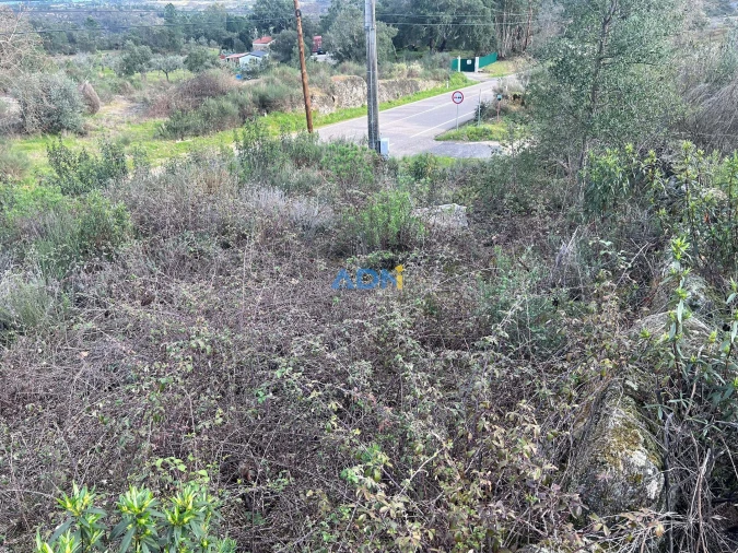 Terreno para Venda em Castelo Branco Foto 10