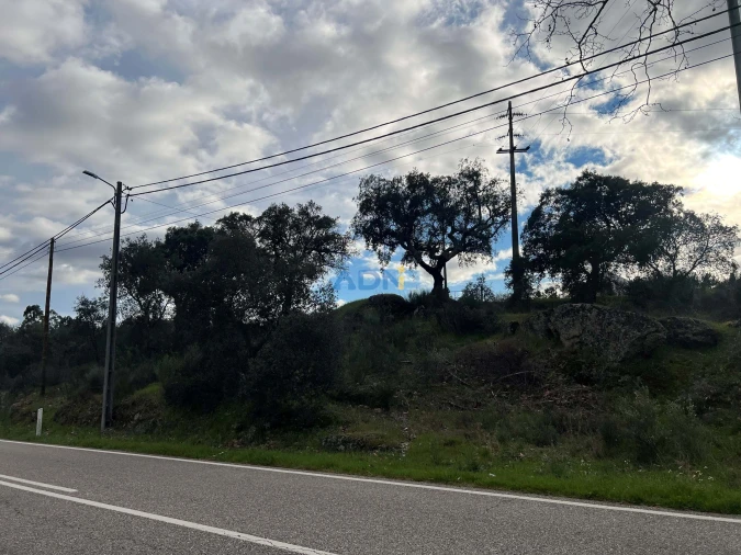 Terreno para Venda em Castelo Branco Foto 8