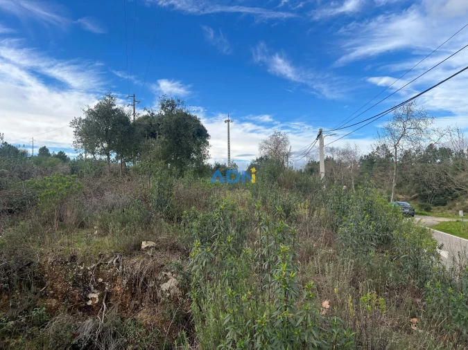 Terreno para Venda em Castelo Branco Foto 17