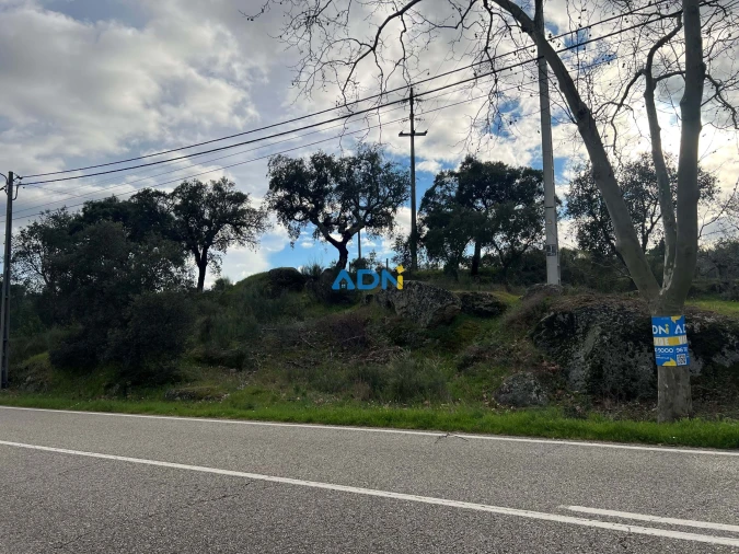 Terreno para Venda em Castelo Branco Foto 6