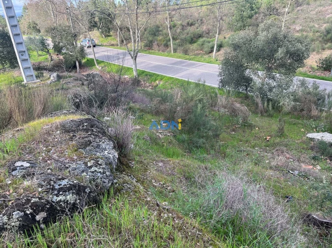 Terreno para Venda em Castelo Branco