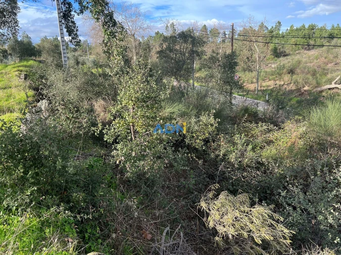 Terreno para Venda em Castelo Branco Foto 5