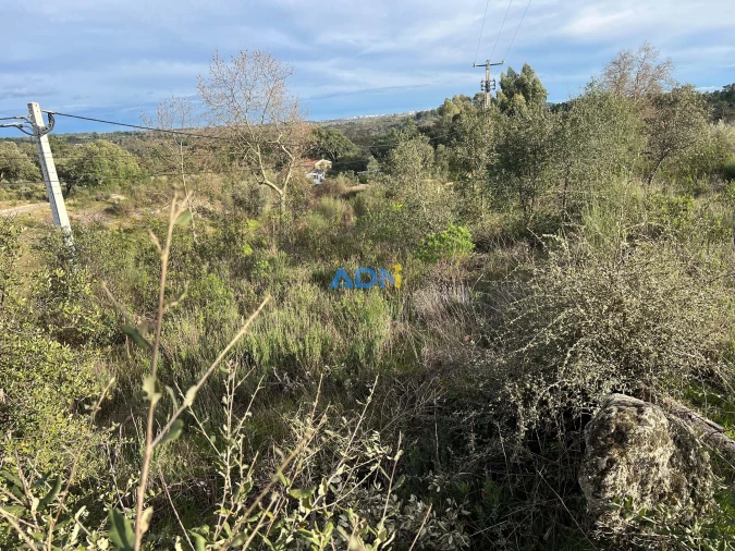 Terreno para Venda em Castelo Branco Foto 4