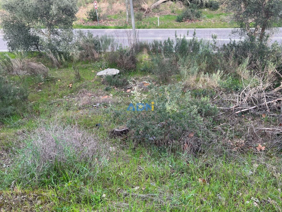 Terreno para Venda em Castelo Branco Foto 2
