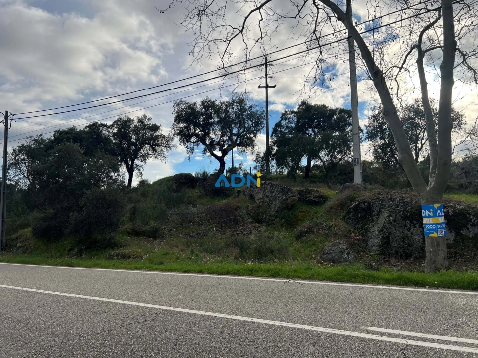 Terreno para Venda em Castelo Branco Foto 6