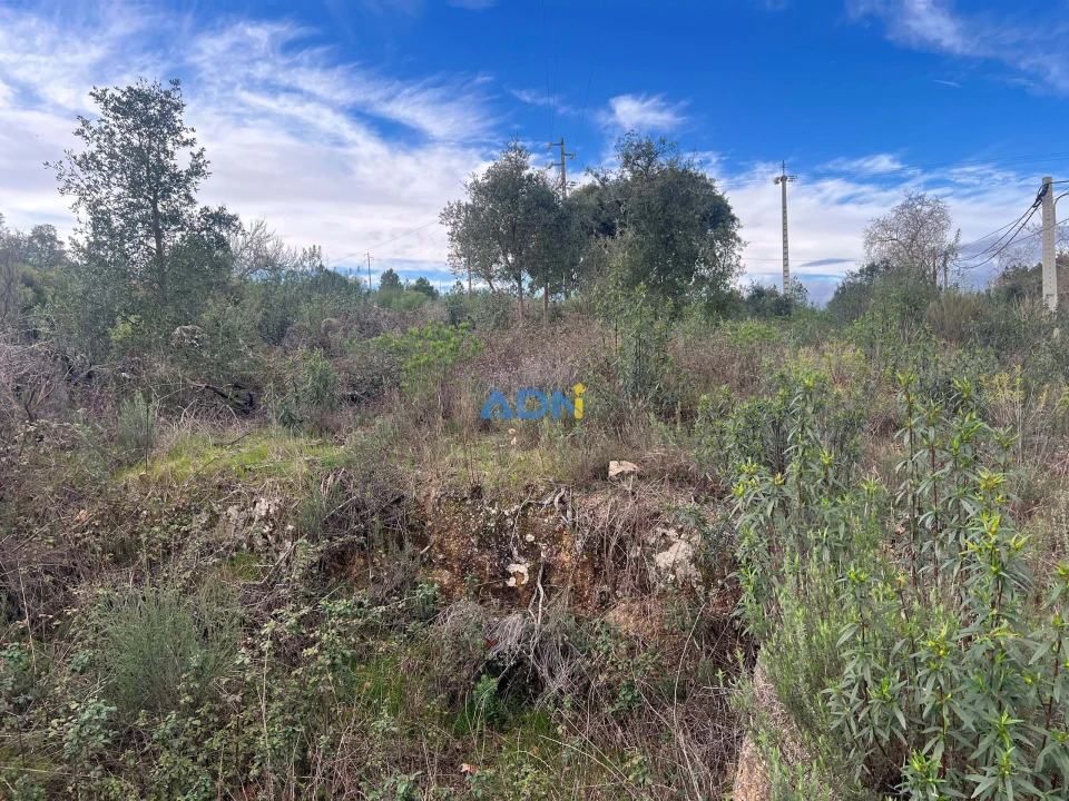 Terreno para Venda em Castelo Branco Foto 16