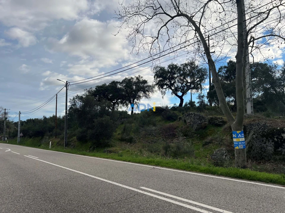 Terreno para Venda em Castelo Branco Foto 7